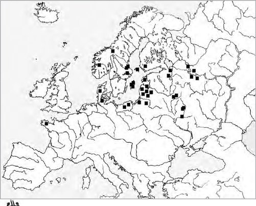 Distribution map viking sword chape with falcon motif