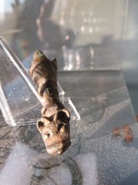 viking drinking horn mount